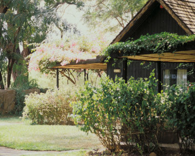 Samburu Serena Safari Lodge Exterior photo